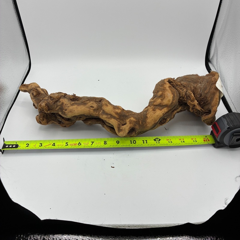 Grapewood Driftwood Aquarium Terrarium Reptile Decor 18in New - Picture 4 of 4